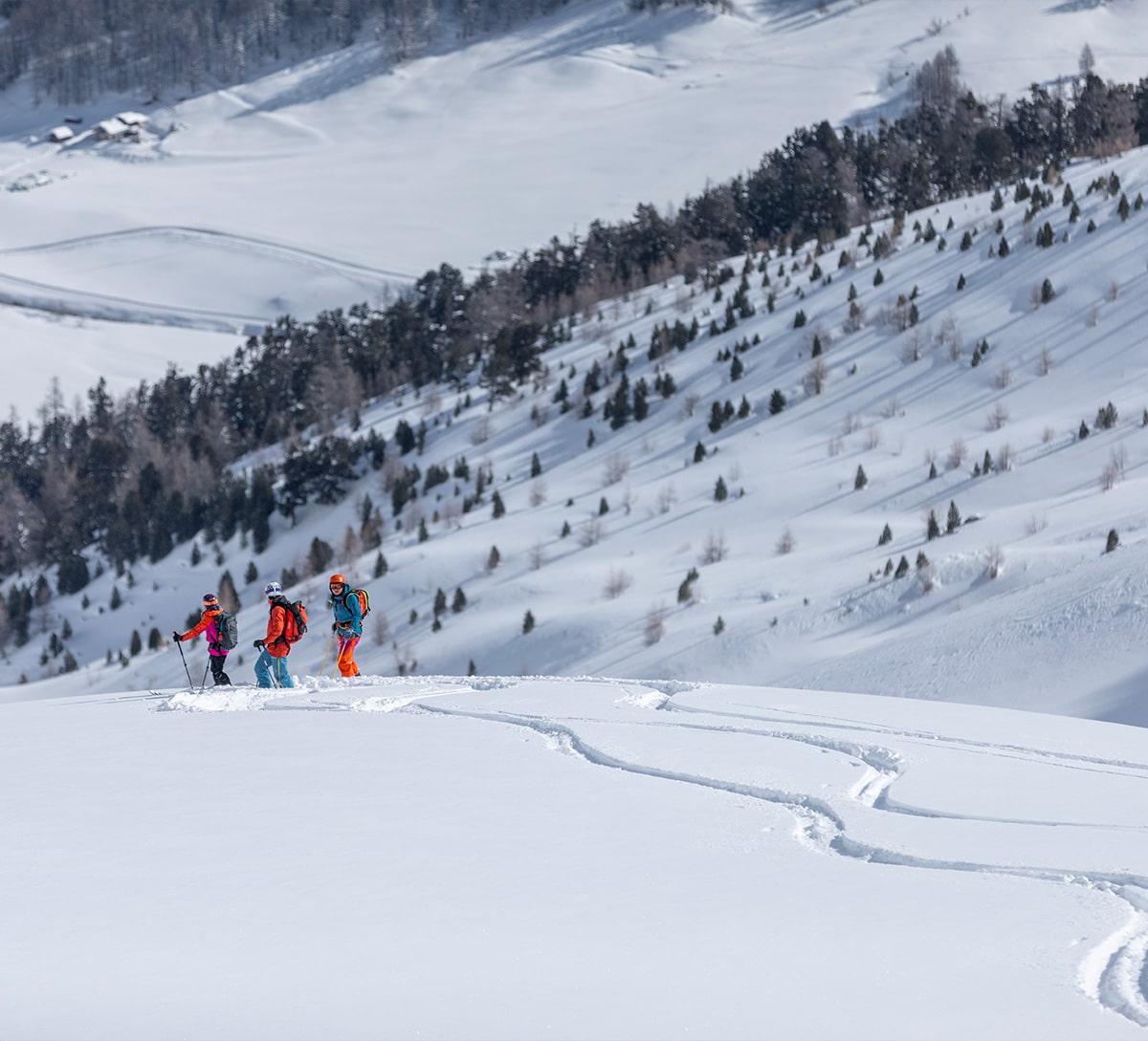 Livigno Off Piste Ski - Carosello 3000
